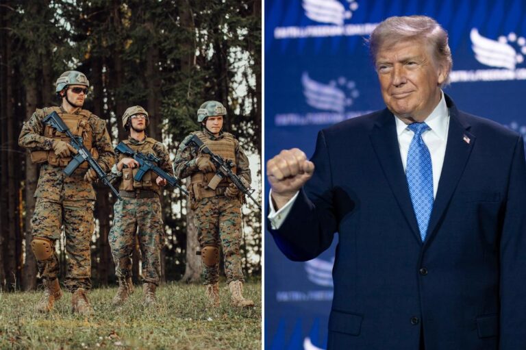 Exclusive | The US military under President Trump is winning the war — in the bedroom, Pentagon data reveals