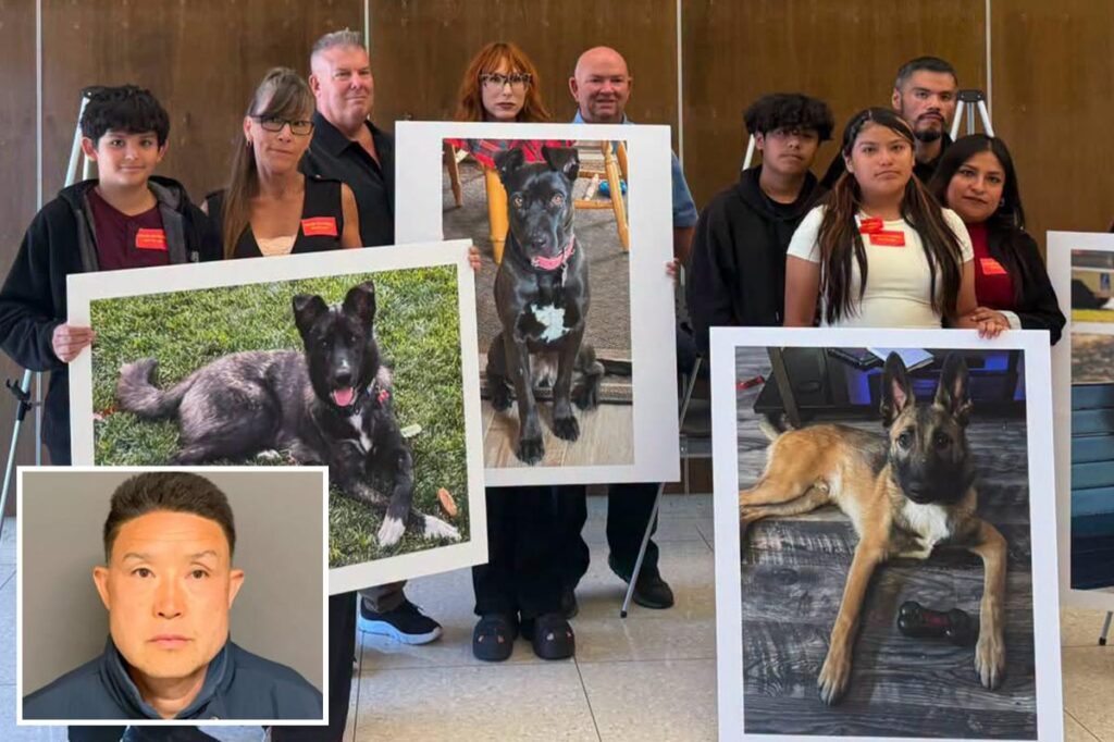 SoCal Dog trainer learns fate for trapping and killing 11 dogs