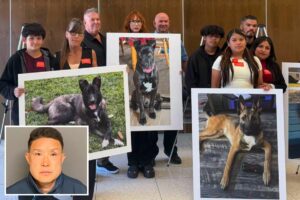 SoCal Dog trainer learns fate for trapping and killing 11 dogs