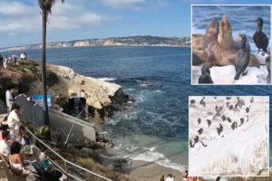 SoCal coastal attraction sparks controversy with plans to fix unbearable stench