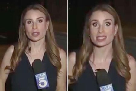 Disgusting moment absolutely massive flying cockroach climbs up TV reporter’s chest live on air