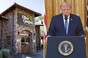 Olive Garden becomes unlikely face of voter ID fight after restaurant’s policy goes viral
