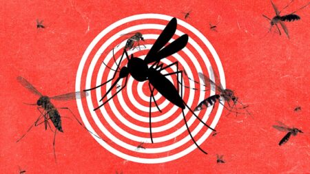AI device detecting the world’s deadliest creature
