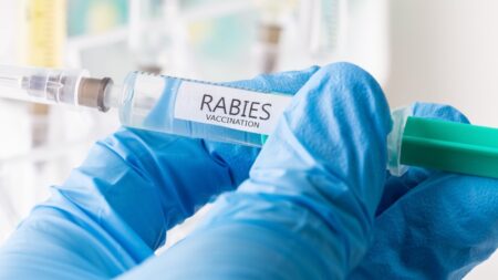 11-year-old dies from rabies after bat landed on his face while he was sleeping