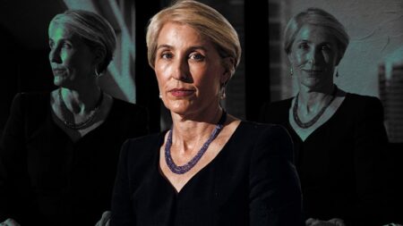 Upper house inquiry’s call for oversight committee for her office should be rejected