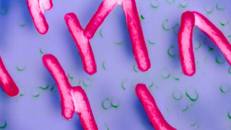 An experimental oral vaccine may prevent invasive bacterial diarrhea