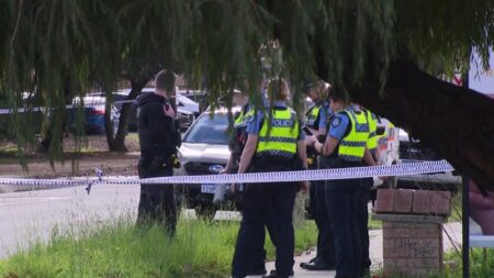 Teenager charged with murder over alleged stabbing attack on mum, sister