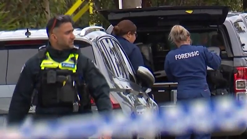 Accused rapist allegedly ambushed woman working from home
