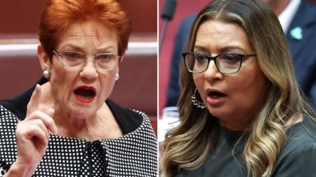 Pauline Hanson loses bid to overturn racial vilification ruling over Mehreen Faruqi comments