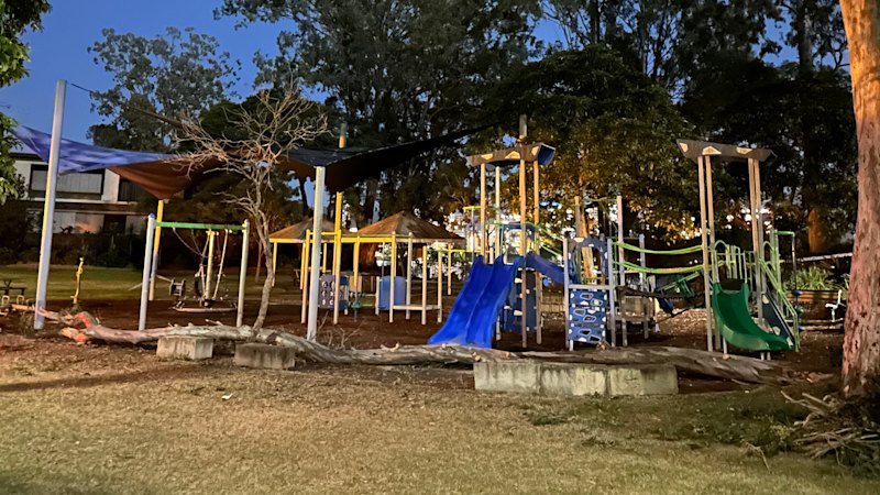 Parent and child injured after tree falls at Brisbane playground