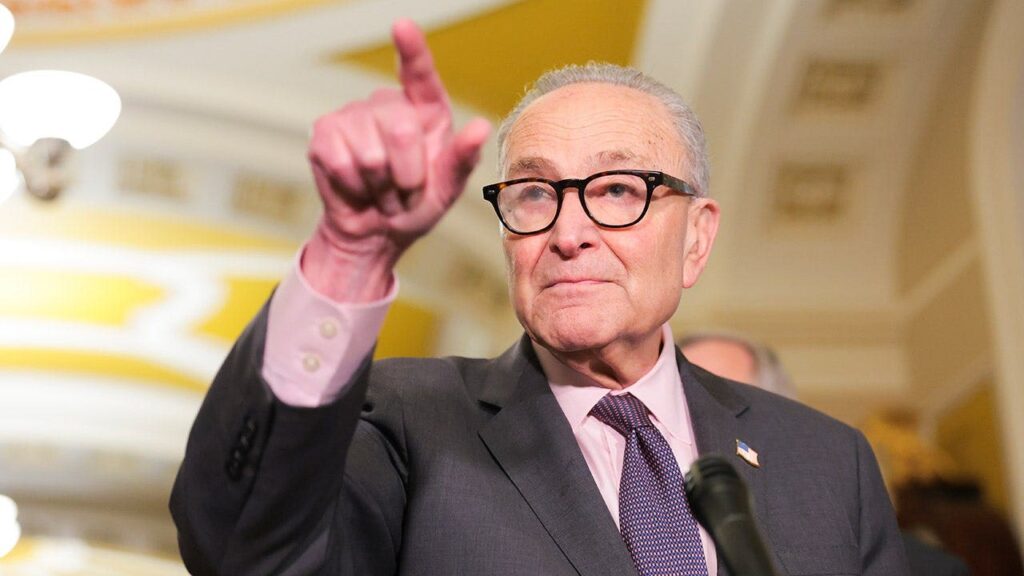 Schumer dodges question on whether DSA belongs in Democratic Party