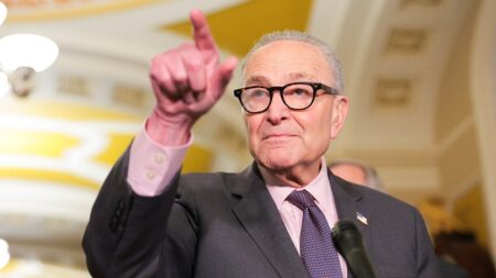 Schumer dodges question on whether DSA belongs in Democratic Party