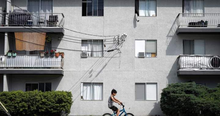What to do if you lose power or air conditioning in a heat wave blackout