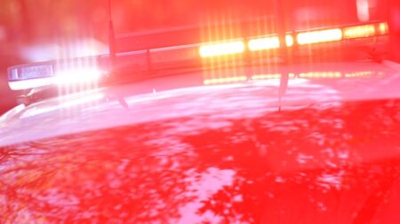 Woman arrested after body of four-year-old boy found on Central Coast