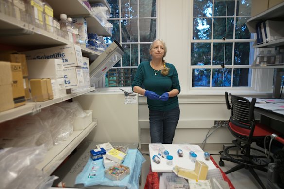 Lisa Jones-Engel cleans out years of gear, mementos and biological samples from her lab at the University of Washington. She finds everything from trapping and darting equipment to the blood of the first monkeys she ever teated.