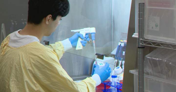 University of Calgary developing new immunotherapy cancer treatment