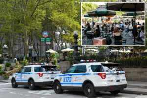 NYC homeless man hurls cell phone at baby in stroller during Bryant Park horror attack: cops