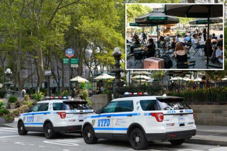 NYC homeless man hurls cell phone at baby in stroller during Bryant Park horror attack: cops