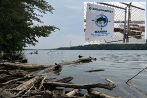5 dead after two sets of parents rush into Ohio River to rescue struggling swimmer and all drown