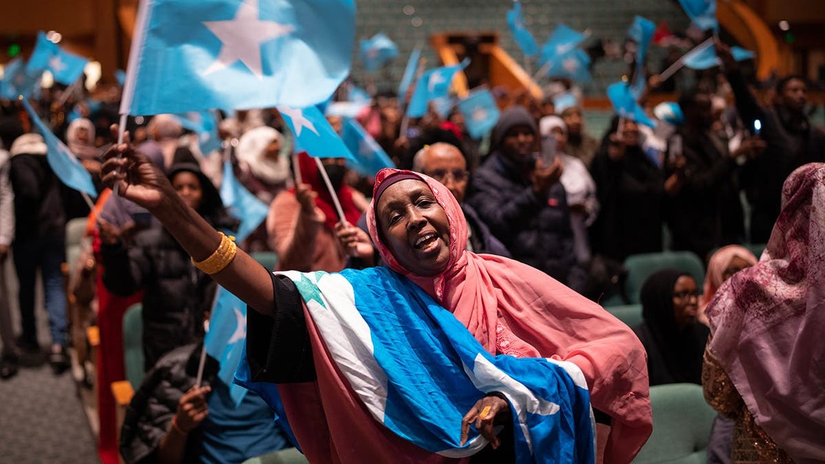 Somali flag