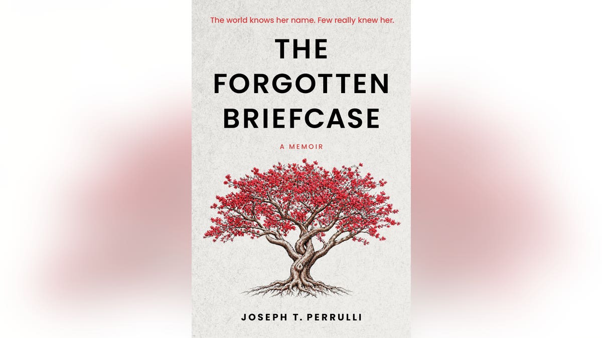 Book cover for