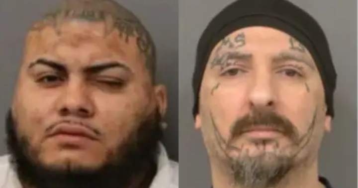 Peel police charge 2 alleged MS-13 members after human trafficking investigation