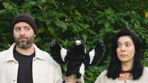 The tracking app preventing magpie attacks