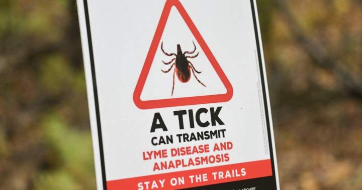 Ticks are spreading anaplasmosis, not just Lyme disease, CMAJ warns