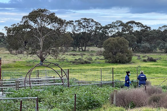 Forensic investigators could be seen taking photos near an overgrown vegetable patch on Saturday morning.