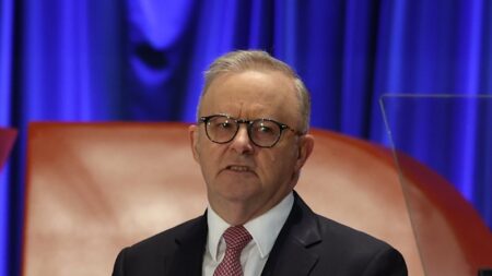 Albanese must show AI details