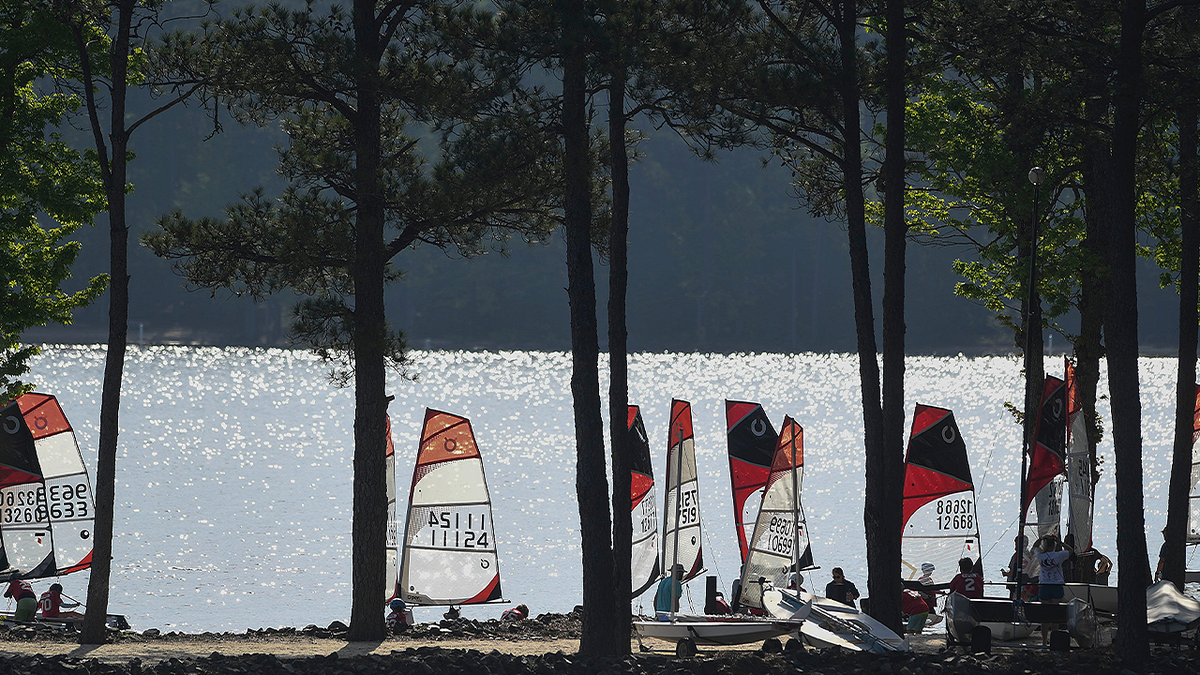 Sailboats sit along the shoreline of Clarks Hill Lake