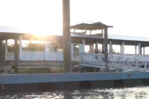 Boy, 13, rushed to hospital after shark attack while fishing — as boater recalls ‘traumatic scene’: reports