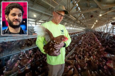 Exclusive | Facebook co-founder Dustin Moskovitz bankrolled $480 million activist crusade that’s made your bacon and eggs pricier