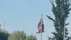 Upside-down American flag at Minnesota Somali celebration sparks community chaos: 'Unfathomable'