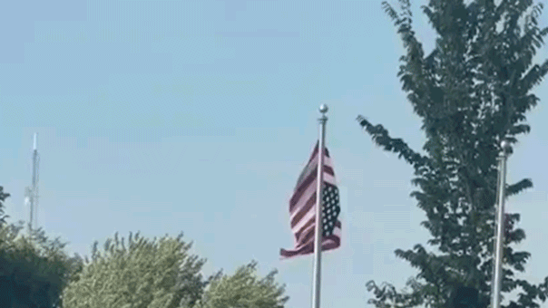 Upside-down American flag at Minnesota Somali celebration sparks community chaos: 'Unfathomable'