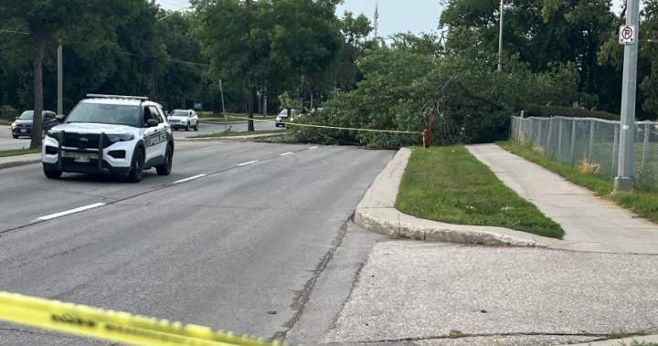 28K Manitoba Hydro customers without power after storm causes ‘extensive damage’