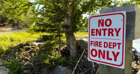 Beavers and a Tim’s card: a very Canadian solution to a firefighting challenge