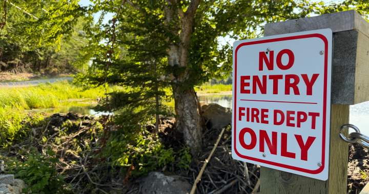 Beavers and a Tim’s card: a very Canadian solution to a firefighting challenge