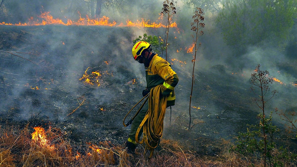Firefighter carries hose while battling wildfire in Spain.