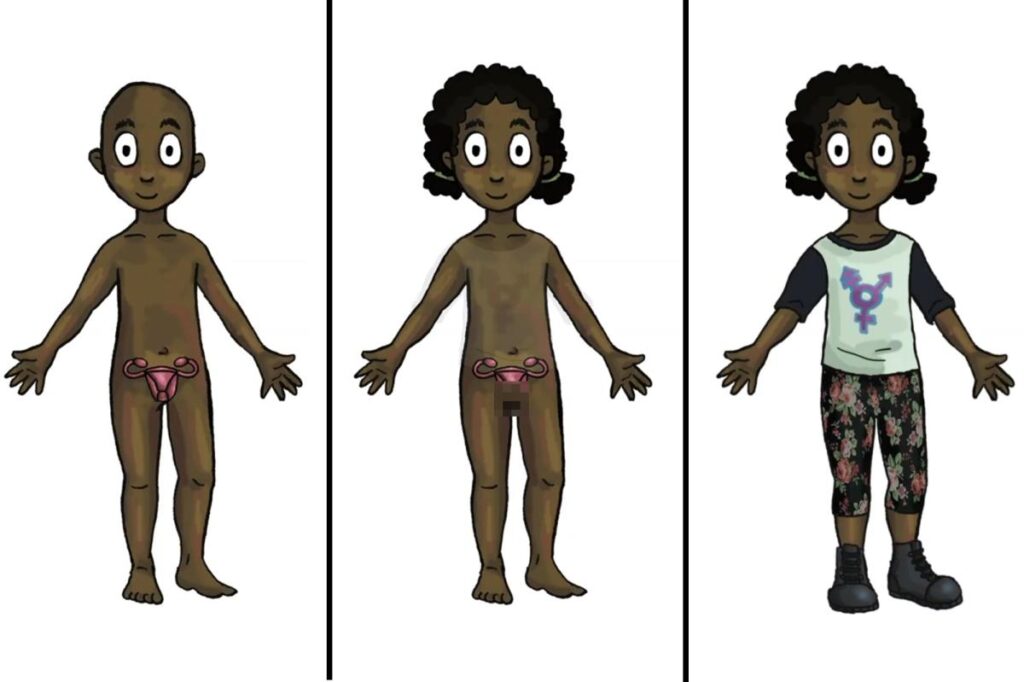 Taxpayer-funded trans dolls — with removable genitalia — to hit classrooms this fall for kids as young as 4