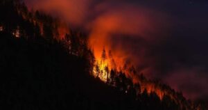 Is Canada doing enough to prevent forest fires from getting out of control?