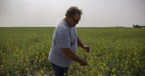 Saskatchewan senator, farmer Todd Lewis dies at 65