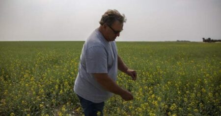 Saskatchewan senator, farmer Todd Lewis dies at 65