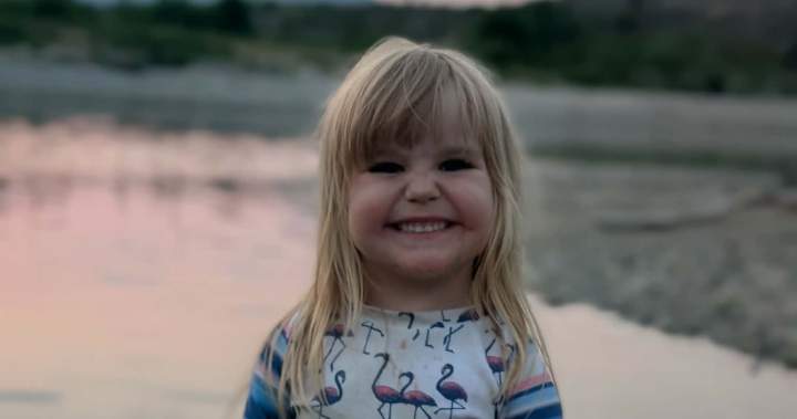 Conservation officers continue search for bear after Maple Ridge girl attacked