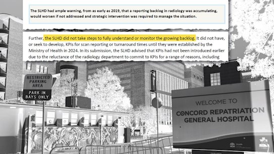 The NSW ombudsman found Sydney Local Health District failed to avert the crisis.