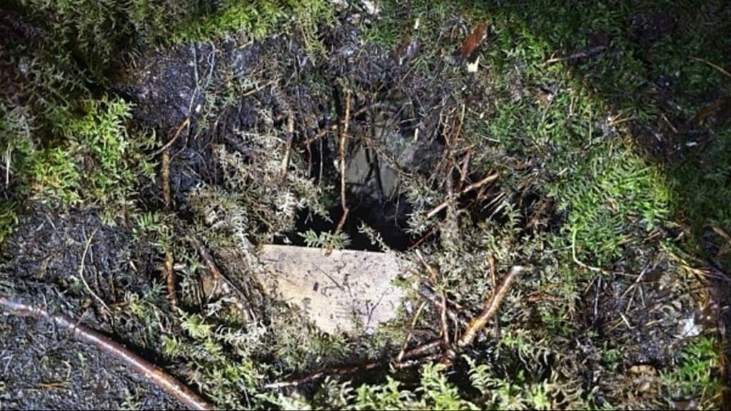 Latvia stops 28 irregular migrants from Belarus after tunnel crossing