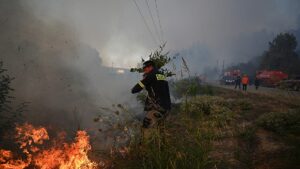 Tourists rescued by boat as forest fire threatens Greek beaches