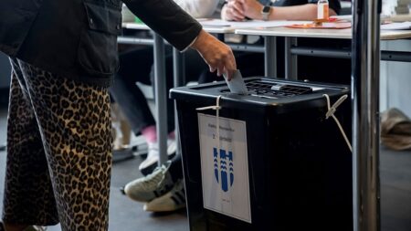 Iceland's EU referendum sees high preliminary voter turnout
