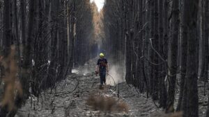 Europe's wildfires update: Greece still battling, outbreaks in Spain