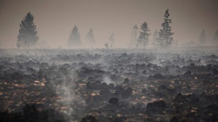 Belgium's fire of the century now 'under control,' local official says